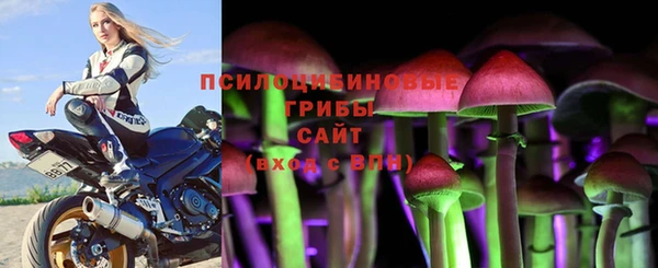 твердый Алексин