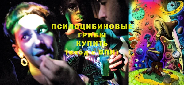 МДПВ Алзамай