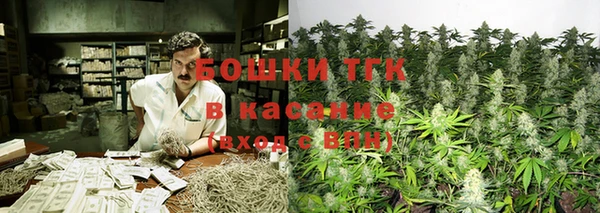твердый Алексин
